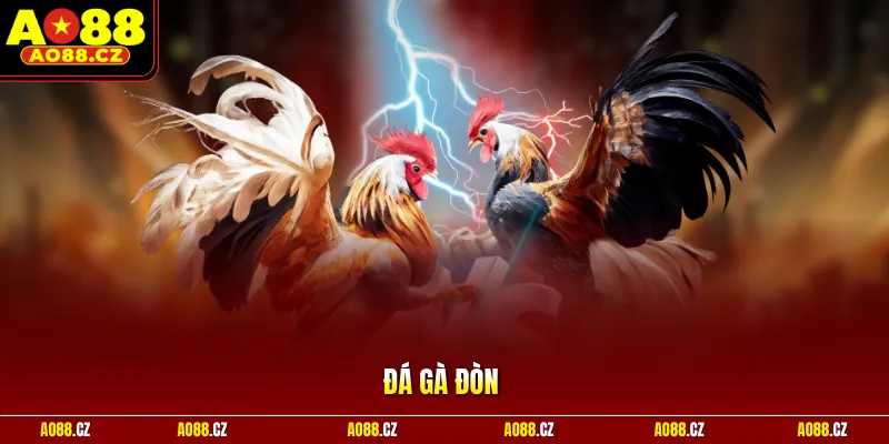 Đá Gà Đòn - Trải Nghiệm Cá Cược Đặc Sắc, Đầy Cuốn Hút