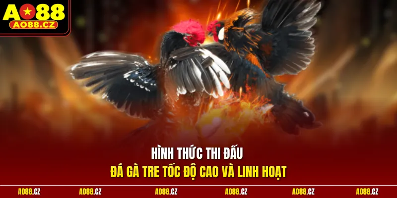 Hình thức thi đấu đá gà tre tốc độ cao và linh hoạt